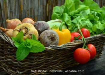 Instat Albania Consumi 2018