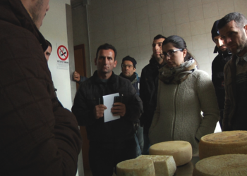 Paola Gjoni gjatë vizitës së saj pranë fermerëve italianë